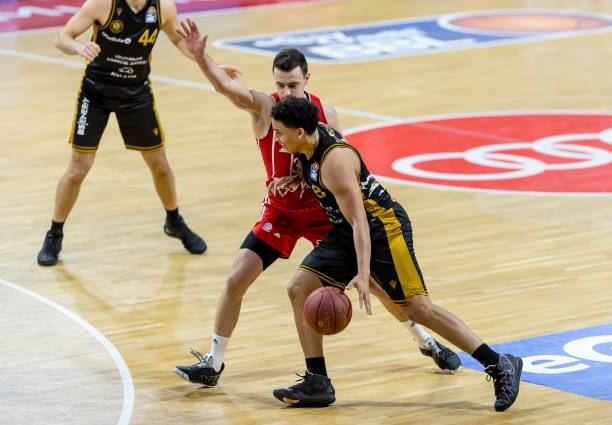 亚历山大的 亚历山大的